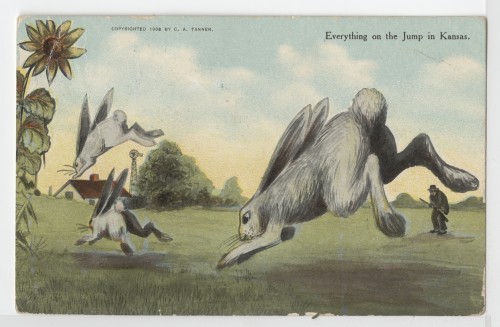Everything on the Jump in Kansas. by O.A. Tanner.