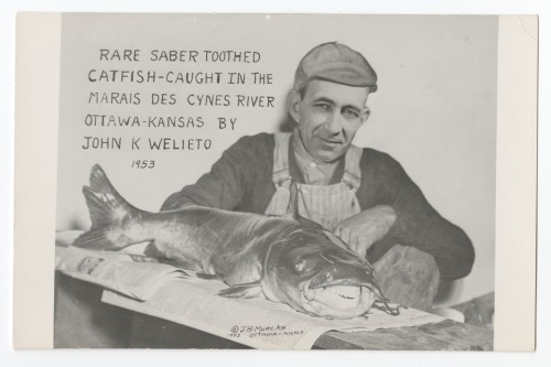 Rare Saber Toothed Catfish-Caught in the Marais des Cynes River Ottawa-Kansas by John K Welieto by J.B. Muecke